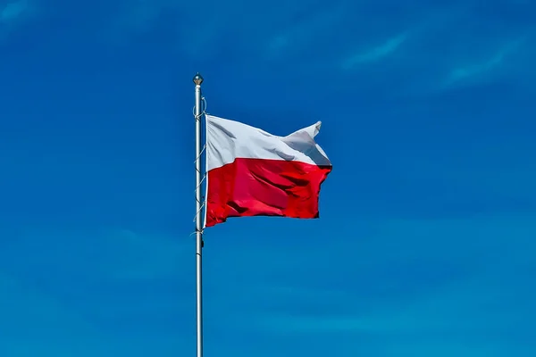 Polish flag. national flag of poland on blue sky.