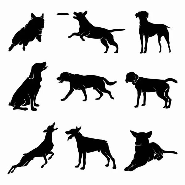 Hond Silhouet Vector Set Hond Illustratie — Stockfoto