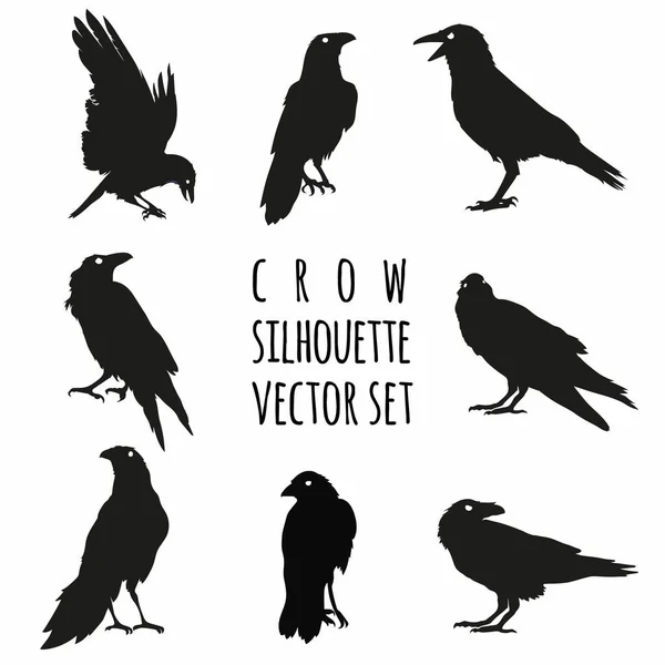 Crow Silhouette Vector Set Raven Vector Set — Fotografie, imagine de stoc