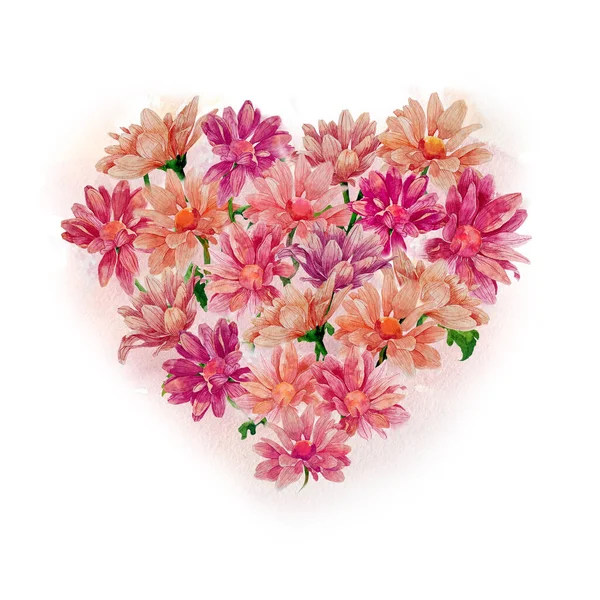 Composición Flores Forma Corazón Ilustración Acuarela Crisantemos Florecientes Flores Brillantes — Foto de Stock