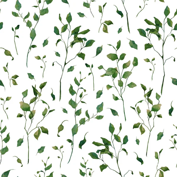 无缝图案的水彩画分枝 叶子在白色背景上隔绝 手绘花卉模板 适用于面料 纺织品 包装纸 设计卡片 — 图库照片