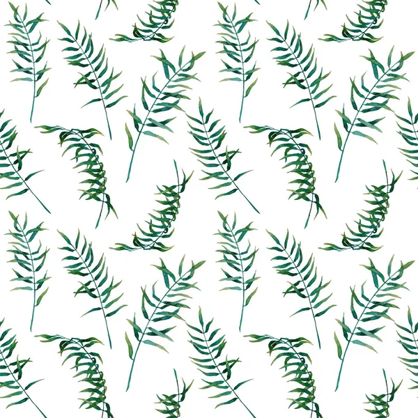水彩斑斓的无缝图案 热带绿叶与白色背景隔离 纺织品 包装纸 包装设计用花卉图解 — 图库照片