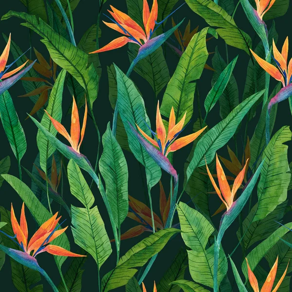 Seamless floral pattern with herbaceous plant of strelitzia. Watercolor illustration of plant of bird-of-paradis. For fabric, textile, wrapping paper, cover, package. Flowers and tropical leaves.