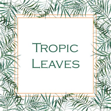Tropikal yapraklı parlak kare çerçeve. Davetiyeler, tebrik kartları, afişler ve afişler için el yapımı palmiye yaprakları. Suluboya çerçevesi.