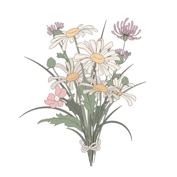 Kır Çiçeklerinin Vektör Buketi Papatya Çayı Otlar Yumuşak Renklerde Devedikeni — Stok Vektör