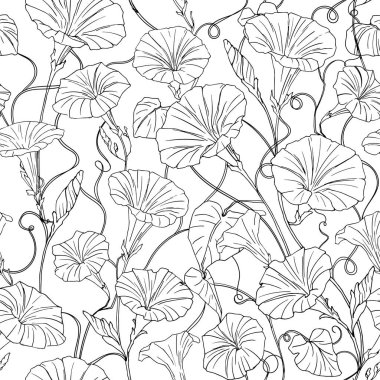 Grafik şeklinde çiçek deseni ve eskiz tarzında yosun çiçeği. Tasarım, kumaş, tekstil, boyama sayfası, ambalaj kağıdı, çiçekçinin dekorasyonu için el çizimi sabah görkemi.