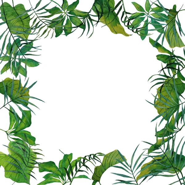 Aquarellrahmen Mit Tropischen Palmenblättern Schefflera Handgezeichnete Eleganz Vorlagen Perfekt Für — Stockfoto