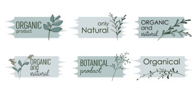 Organik ikonlar. Vektör botanik isim plakası. Dekoratif elementler. Botanik etiket tasarımı.