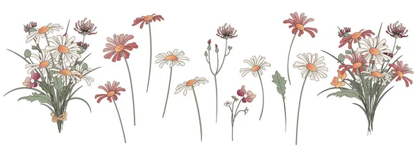 Vector Set Illustrations Illustration Bouquets Wildflowers Daisies Thistles Design Flower — Stok Vektör