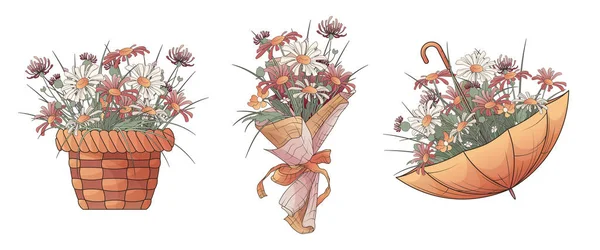 Vector Set Three Illustration Wildflowers Bouquet Arrangement Basket Umbrella Flowers — Stok Vektör