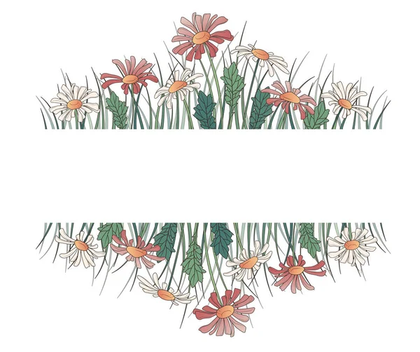 Vector Illustration Borders Daisy Flowers Leaves Grass Simple Floral Frame — Stok Vektör