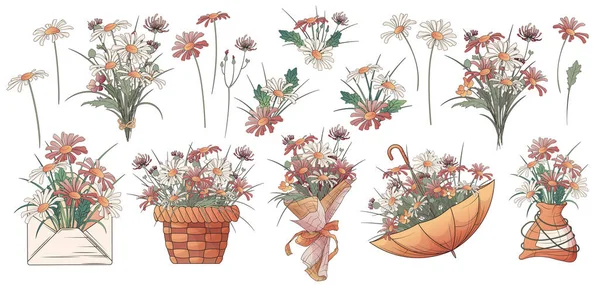 Papatya Çiçekleri Buketler Şemsiyeli Çiçekler Sepet Zarf Bir Buket Kır — Stok Vektör