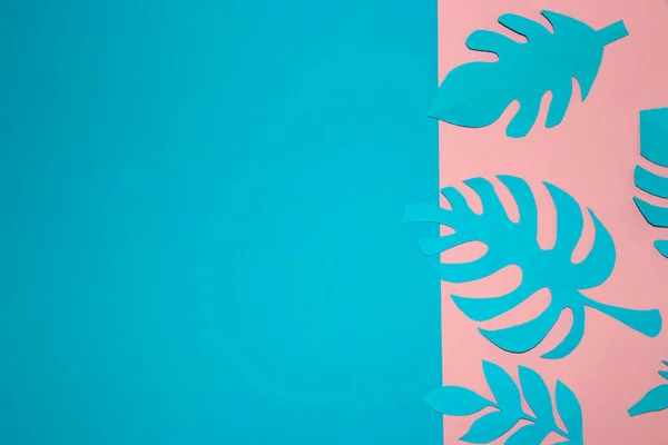 pink background with blue jungle leaf next to the blue part of the background as a copy space, creative summer design