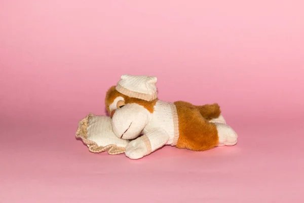 sleeping toy monkey isolated on pink background and on his pillow, creative design, lazy day, dream day, dreamland