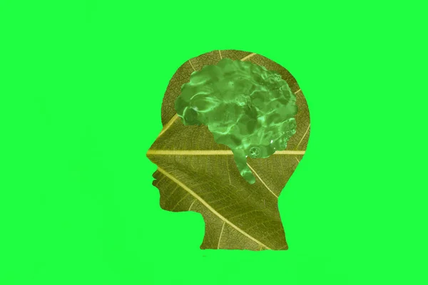 green leaf head with green water brain on green background, creative eco design