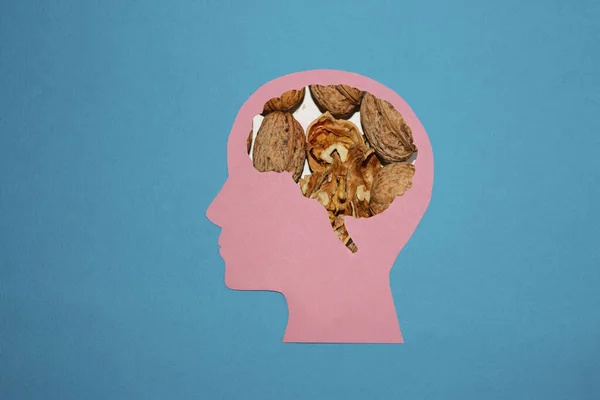 pink paper head on blue background, walnut brain, creative healthy brain, healthy food for a healthy mind