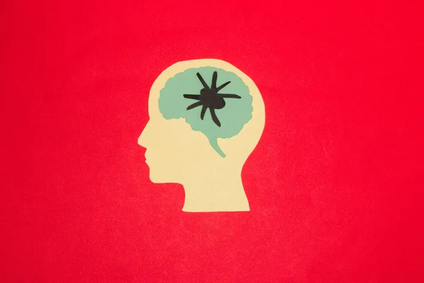 paper head with a brain in which there is a spider, creative halloween concept, flat lay, red background