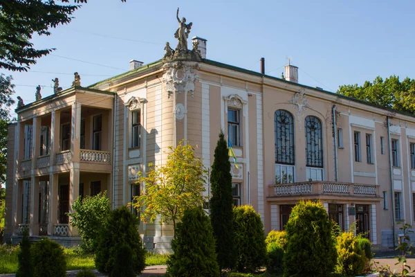 Невероятное Историческое Здание Дворца Дрогобыче Украина — стоковое фото