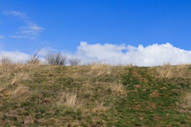 Tepedeki yeşil çimenler Sevan Gölü 'nün yanındaki mavi gökyüzüne karşı. Ermenistan