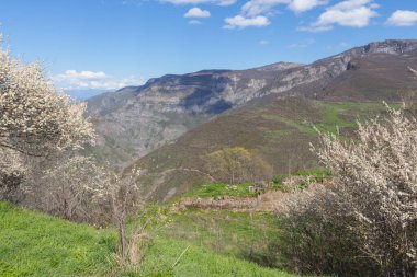 Baharda Tatev Manastırı yakınlarındaki dağların manzarası. Ermenistan