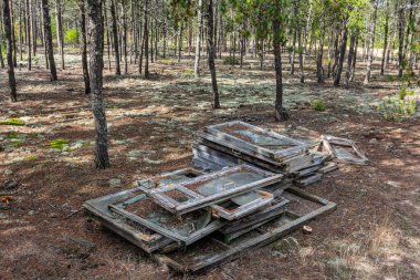 Eski harabe ahşap pencere çerçeveleri ormana atılmış.