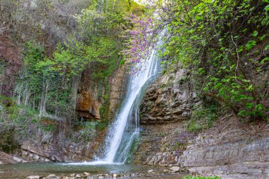 Tiflis Botanik Bahçesindeki Leghvtakhevi Şelalesi manzarası. Gürcistan