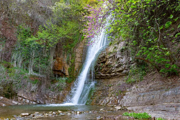 Una Vista Cascada Leghvtakhevi Jardín Botánico Tiflis Georgia País — Foto de Stock
