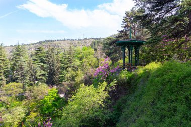 Tiflis Botanik Bahçesi 'nde uçurumun kenarında yeşil bir çardak. Gürcistan