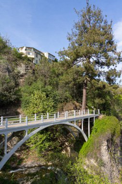 Tiflis Botanik Bahçesi 'ndeki kavisli yaya köprüsünün manzarası. Gürcistan