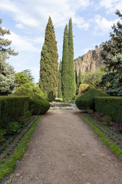Tiflis Botanik Bahçesi 'nde bir patika. Gürcistan