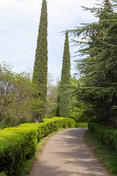 Camino Jardín Botánico Tiflis Georgia País —  Fotos de Stock