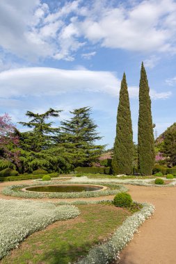 Tiflis Botanik Bahçesi 'nin arazisindeki çimlerin manzarası. Gürcistan