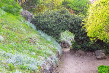 Tiflis Botanik Bahçesi 'nde bir patika. Gürcistan