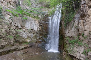 Tiflis Botanik Bahçesi 'ndeki şelalenin manzarası. Gürcistan