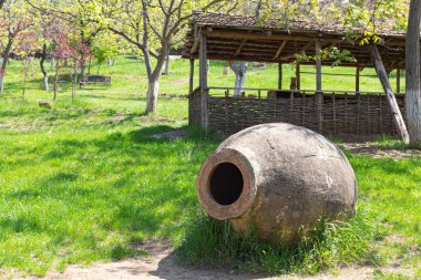 Çimenlerin üzerinde şarap için 