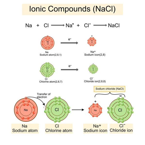 Structure Sodium Chloride Salt Nacl Model Vector Illustration Chemistry Model — ストックベクタ