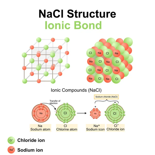 Structure Sodium Chloride Salt Nacl Model Vector Illustration Chemistry Model — ストックベクタ