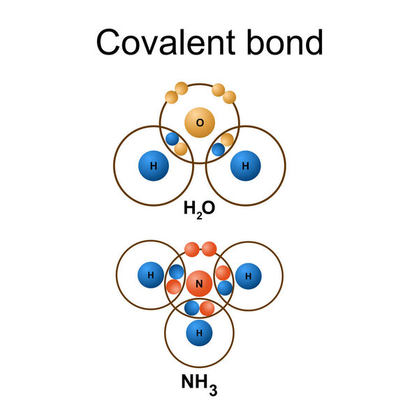 Isolated Covalent bond on white background.Vector illustration.chemical bonding model .science,education.