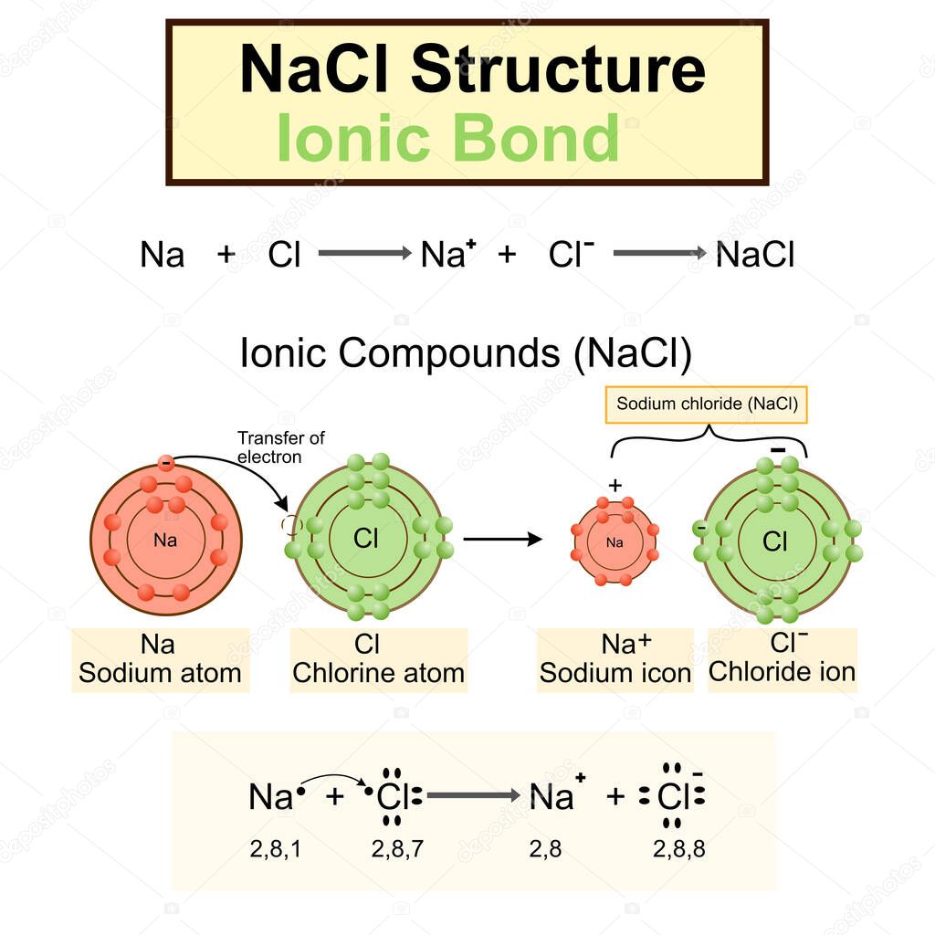 Structure of sodium chloride (salt).NaCl model.Vector illustration.Chemistry model of salt molecule.Ionic compounds,Ionic bond, education and symbols.