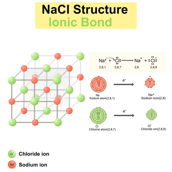 塩化ナトリウム の構造 Naclモデル ベクトル図 塩分子の化学モデル イオン化合物 イオン結合 印刷のための教育とシンボルデザイン モデル ポスター — ストックベクタ