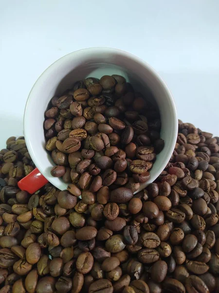 Coffe Bean Background White — Fotografia de Stock