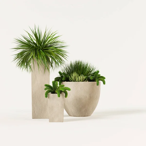 Flore Décorative Plantée Pot Terre Isolé Sur Fond Blanc — Photo