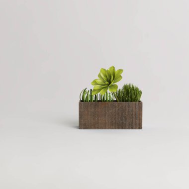 Kahverengi tenceredeki bitkiler hafif arkaplanda izole edilmiş.