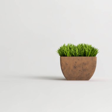 Terracotta saksı bitkisi ışık arka planda izole