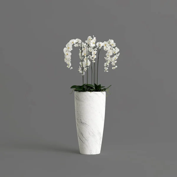 Белый Каменный Горшок Фаленопсисом Орхидеи Изолированы Светлом Фоне — стоковое фото