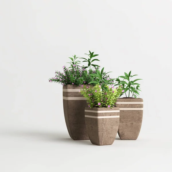 Collection Brown Potted Plants Isolated Light Background — Stock Photo, Image