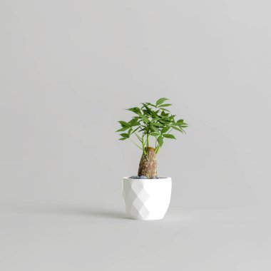 Beyaz arkaplanda izole edilmiş bonsai ağacının 3D çizimi