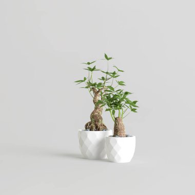 Beyaz arka planda izole edilmiş iki bonsai ağacının 3D çizimi