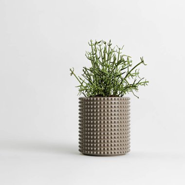 Beyaz arkaplanda izole edilmiş seramik ev bitkilerinin 3d çizimi