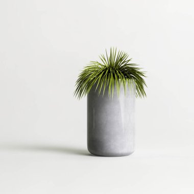 Beyaz arkaplanda izole edilmiş seramik ev bitkilerinin 3d çizimi